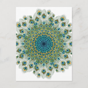 Mala Peacock Colorful Mandala Postkarte