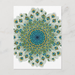 Mala Peacock Colorful Mandala Postkarte