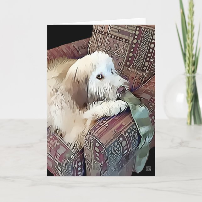 MALACHI heARTdog Whoodle Karte (Vorderseite)
