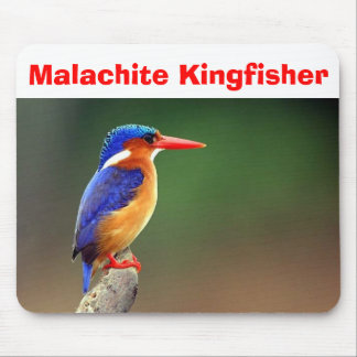 Malachit-Eisvogel, Malachit-Eisvogel Mousepad