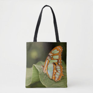 Malachite Butterfly auf einem Blatt