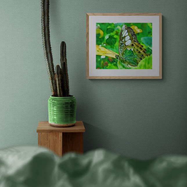 Malachite Butterfly on Green Leaf Fotodruck (Von Creator hochgeladen)
