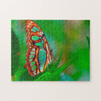 Malachite Butterfly. Puzzle