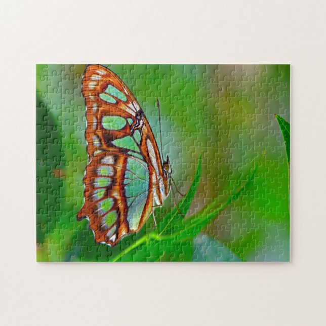 Malachite Butterfly. Puzzle (Horizontal)