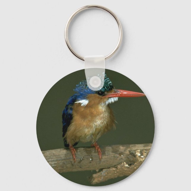 Malachite Kingfisher Schlüsselanhänger (Vorderseite)