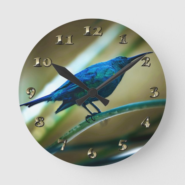 Malachite Sunbird schließt Runde Wanduhr (Vorderseite)