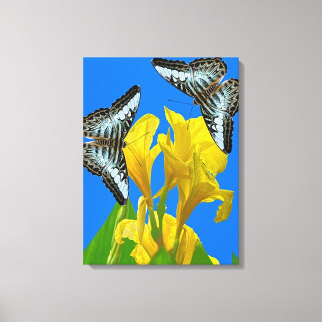 Malaiisch-blauer Clipper Stretched Canvas Print Leinwanddruck (Vorderseite)