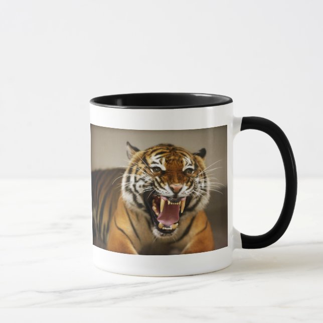 Malaiische Tasse des Tigers #2 (Rechts)