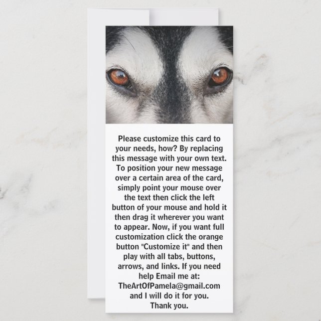 Malamute Dog Brown Eyes (Vorderseite)