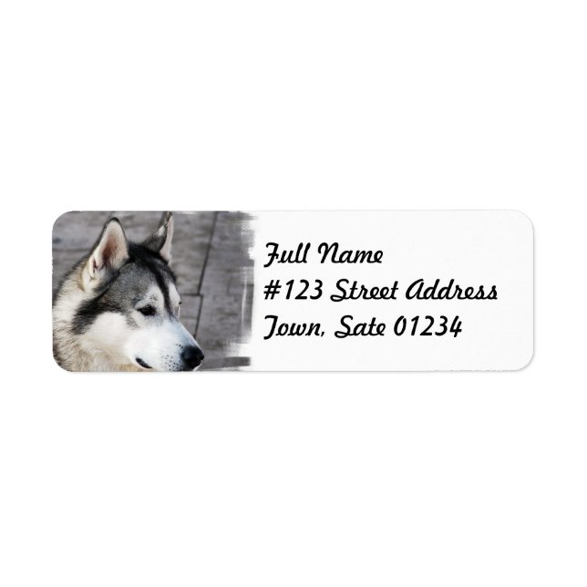 Malamute Dog-Mailing-Label (Vorne)