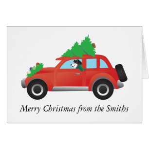 Malamute Fahren eines Autos Weihnachtsbaum auf der