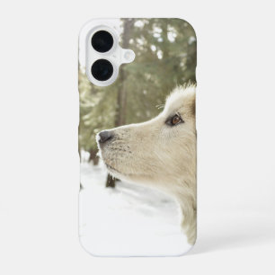 Malamute-Gesicht im schneebedeckten Wald iPhone 16 Hülle