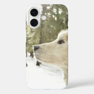 Malamute Gesicht in schneebedeckten Wäldern iPhone 16 Hülle