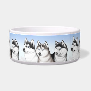 Malamute-heisere Hundehaustier-Schüssel Napf