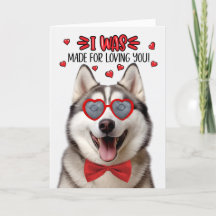 Malamute Hund für die Liebe Sie Valentine