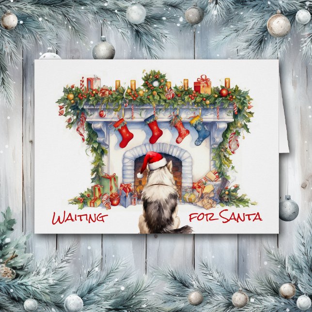 Malamute Hund warten auf Weihnachts-Feuerplatz (Von Creator hochgeladen)
