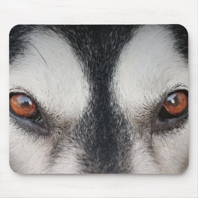 Malamute-Hundebrown-Augen Mousepad (Vorne)