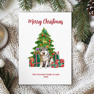 Malamute-Hundefamilien-Weihnachten Feiertagskarte