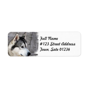 Malamute-HundePostsendung-Aufkleber