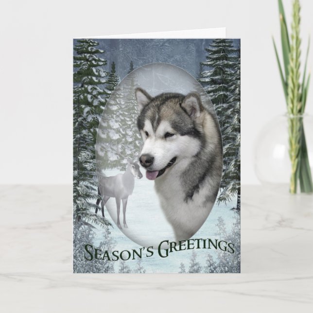 Malamute Weihnachtskarte Feiertagskarte (Vorderseite)