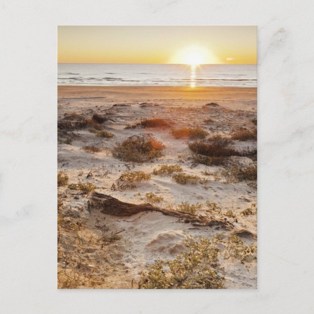 Malaquite Beach Sand Dunes Postkarte (Vorderseite)