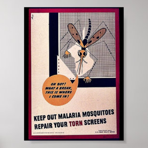Malaria-Moskitos behalten Reparieren Sie Ihre Dreh Poster