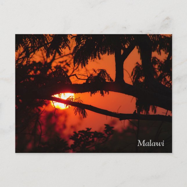 Malawi, Africa Sunset Postcard Postkarte (Vorderseite)