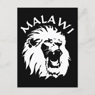 Malawi Lion Postkarte
