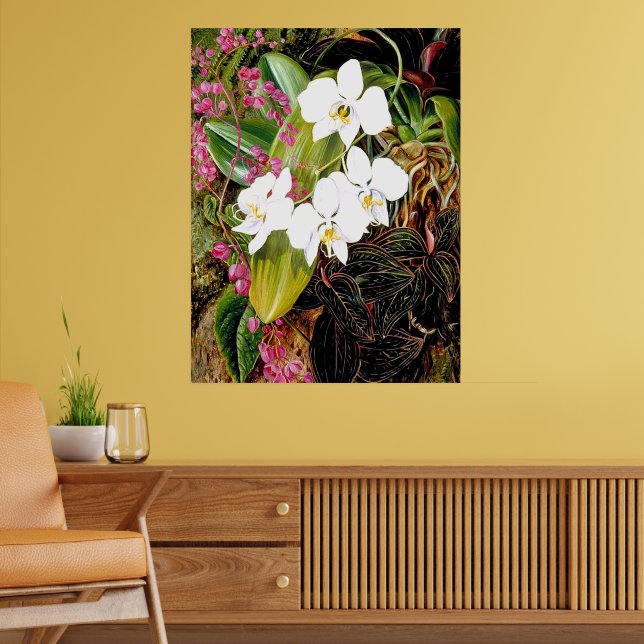 Malayan Moth Orchid und ein amerikanischer Climber Poster (Wohnzimmer 2)
