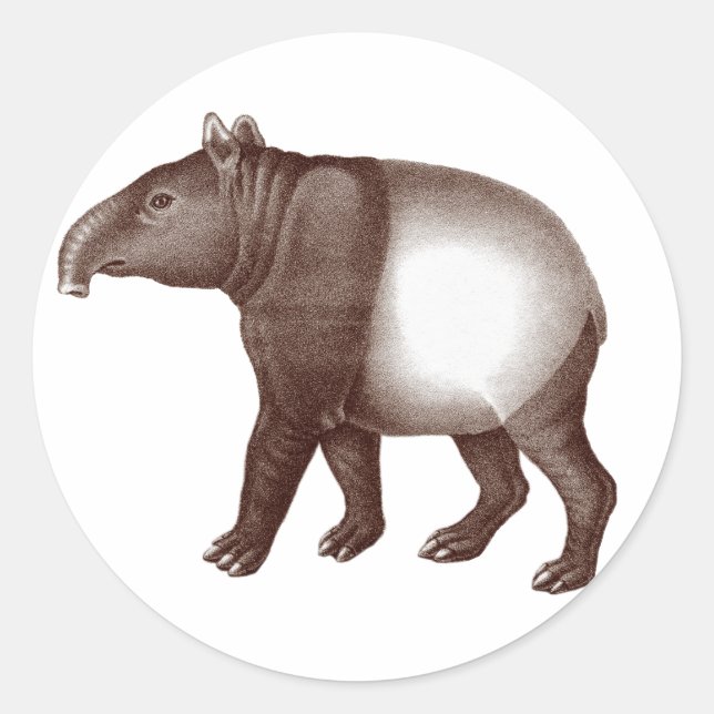 Malayan Tapir / Asian Tapir - Stickers (Vorderseite)