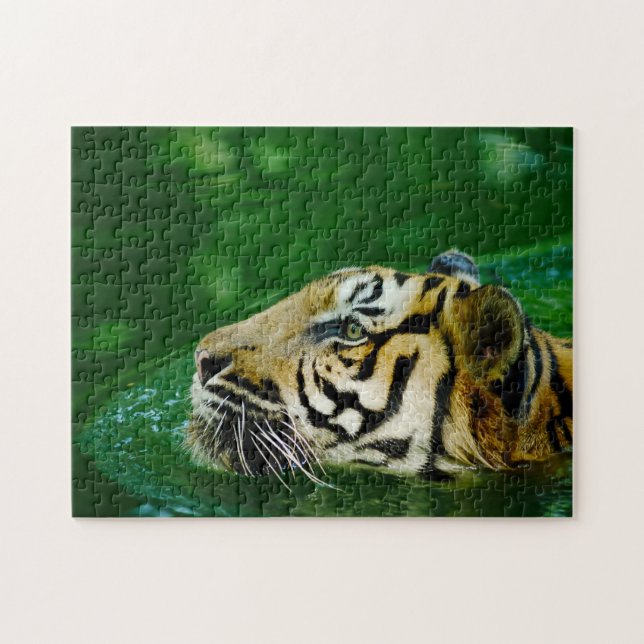 Malayan Tiger Big Cats. Puzzle (Horizontal)
