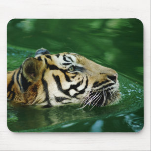 Malayan Tiger Swimming Headshot Mousepad