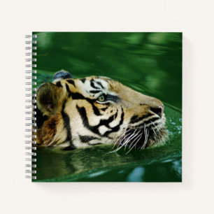 Malayan Tiger Swimming Headshot Notizbuch