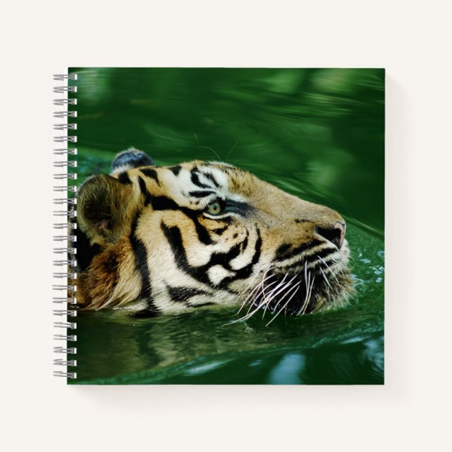 Malayan Tiger Swimming Headshot Notizbuch (Vorderseite)