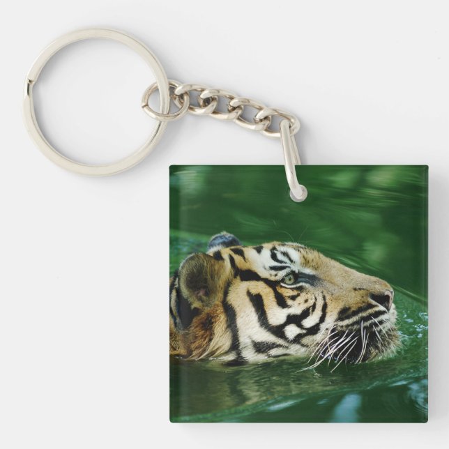 Malayan Tiger Swimming Headshot Schlüsselanhänger (Vorderseite)