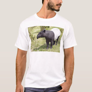 Malayischer Tapir auf Gras T-Shirt