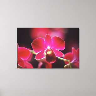 Malaysia, Orchidee Leinwanddruck