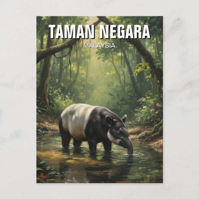 Malaysia Taman Negara Malayan Tapir Postkarte (Vorderseite)