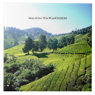 Malaysia Tea Plantation Fliese