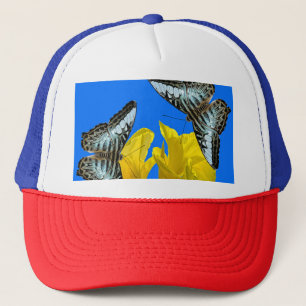 Malaysischer Kappenschmetterling auf Canna King Truckerkappe