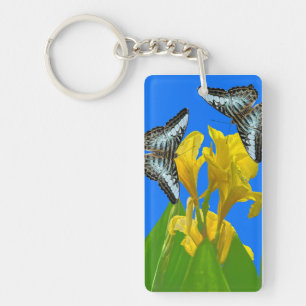 Malaysischer Kappenschmetterling-Schlüsselanhänger Schlüsselanhänger