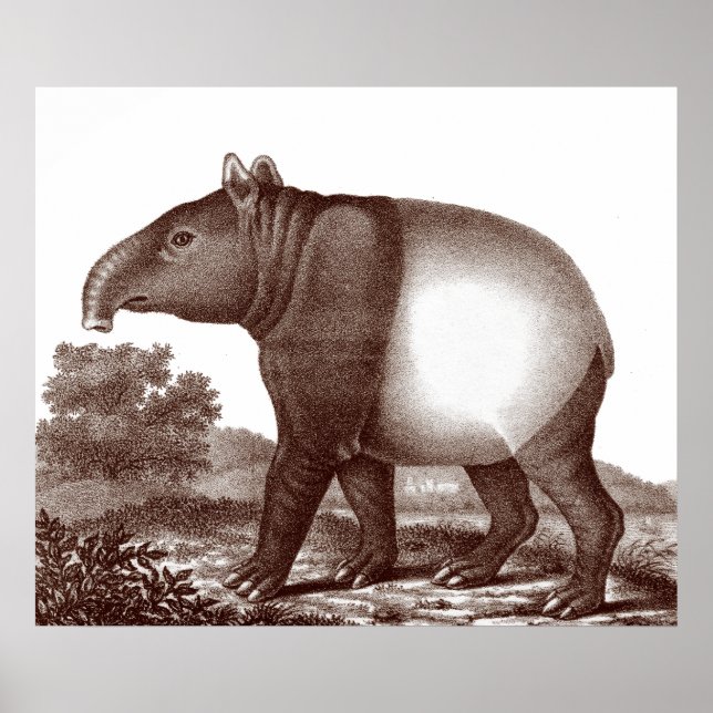Malaysisches Tapir in einer Landschaft aus der Ant Poster (Vorne)