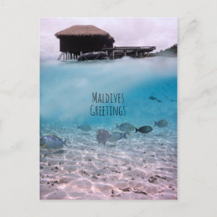 Maldives Gruß Schnorcheln Spaß Souvenir Postkarte