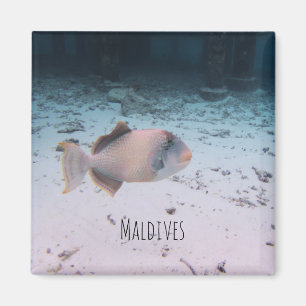 Maldives Underwater Coral Fish Souvenir Magnet