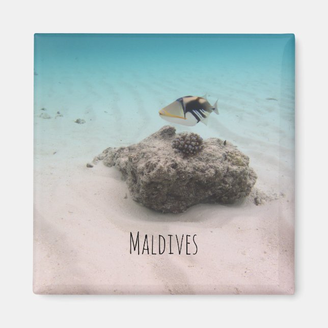 Maldives White Sand Lagoon Coral Fish Souvenir Magnet (Vorne)