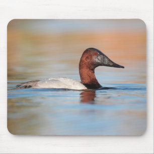 Male canvasback duck mousepad