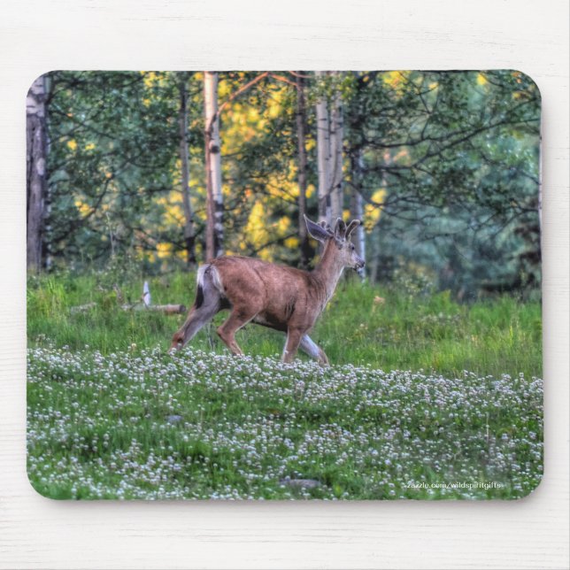 Male Deer Buck auf Ranch Wildlife Foto Mousepad (Vorne)