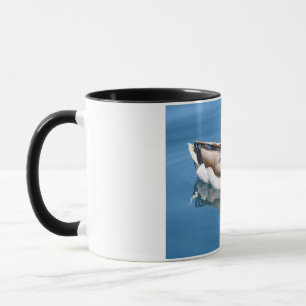 Male Duck Tasse