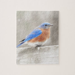 Male Eastern Bluebird Puzzle