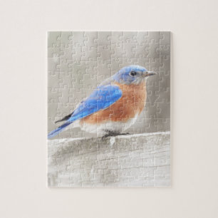 Male Eastern Bluebird Puzzle